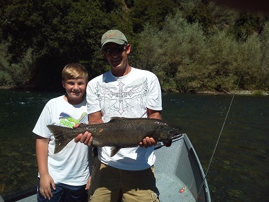 trout fishing sacramento river