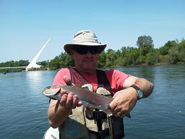 Chris Sac River Salmon Fly Fishing Sun Dial Bridge