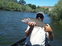 Gregs Steelhead Lower Sacramento River Fly Fishing