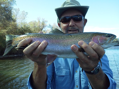 sacramento fly fishing guides