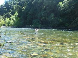 Nor. Cal Walk and Wade Trip upper Sacramento River