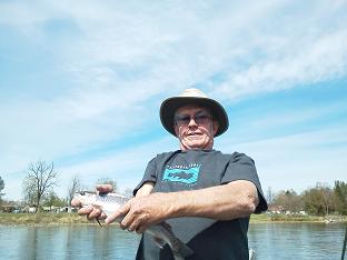 sacramento river trout